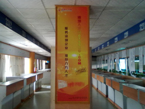 新天地人才市場招聘大廳-深圳人才網(www.zxzjk.com)